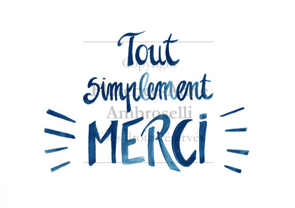 Tout simplement "Merci"